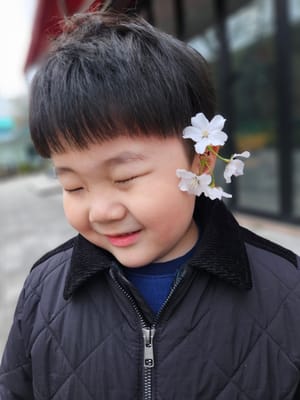 꽃보다 은율