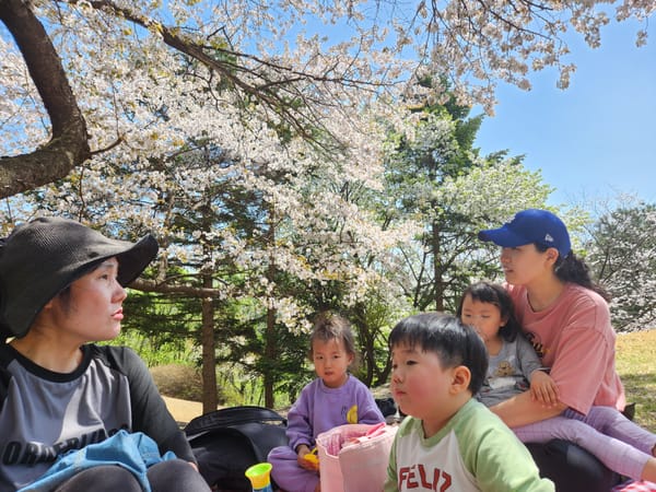 산중 늦은 벚꽃놀이